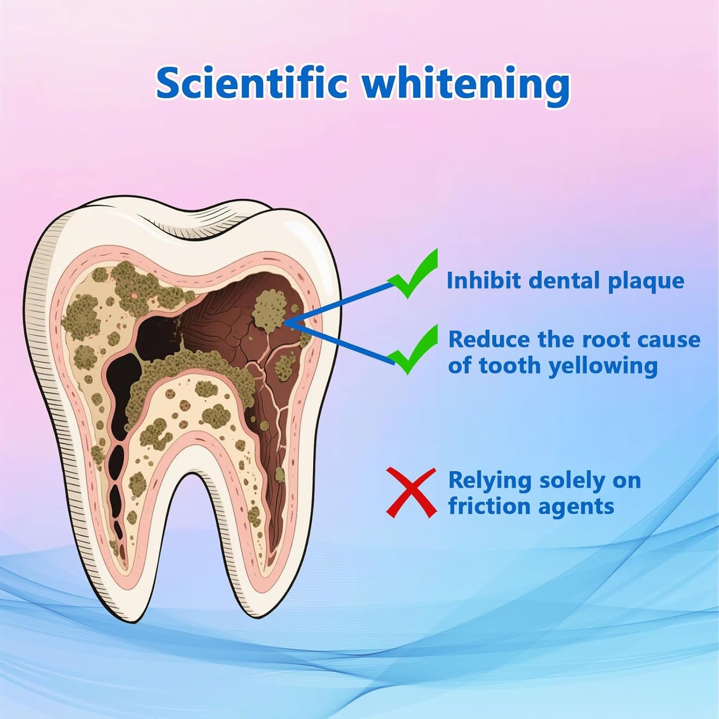 Niacinamide Whitening Toothpaste, Effectively Whitens Teeth, Protects Tooth Enamel, Freshens Breath 24 Hours, Fluoride-Free Formula is Suitable for Sensitive Teeth 3.53 Ounce (Pack of 1)